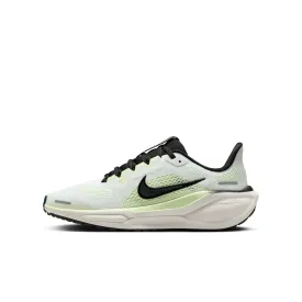 Nike Air Zoom Pegasus 41